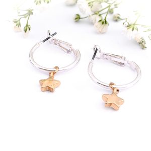 20mm Two Tone Star Hoops