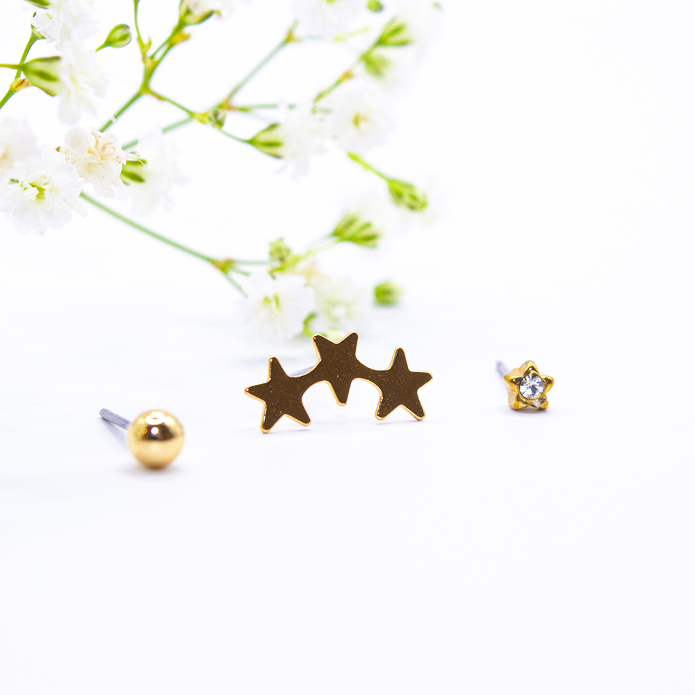 Donna Gift Pack of Earrings