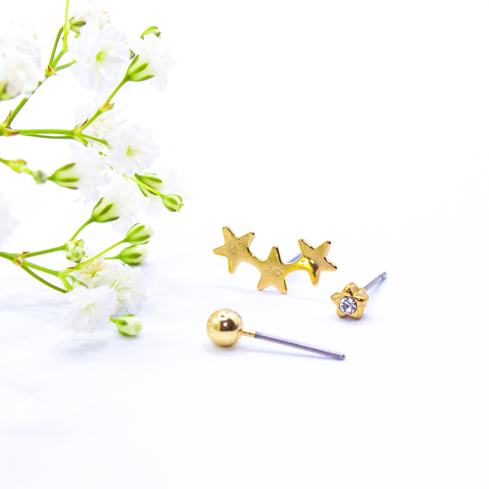Donna Gift Pack of Earrings