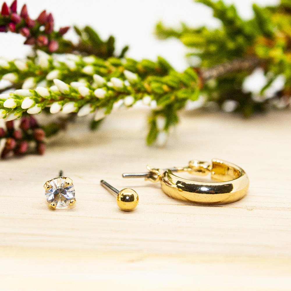 Nicole Gift Pack of Earrings