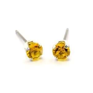 November Birthstone Earrings