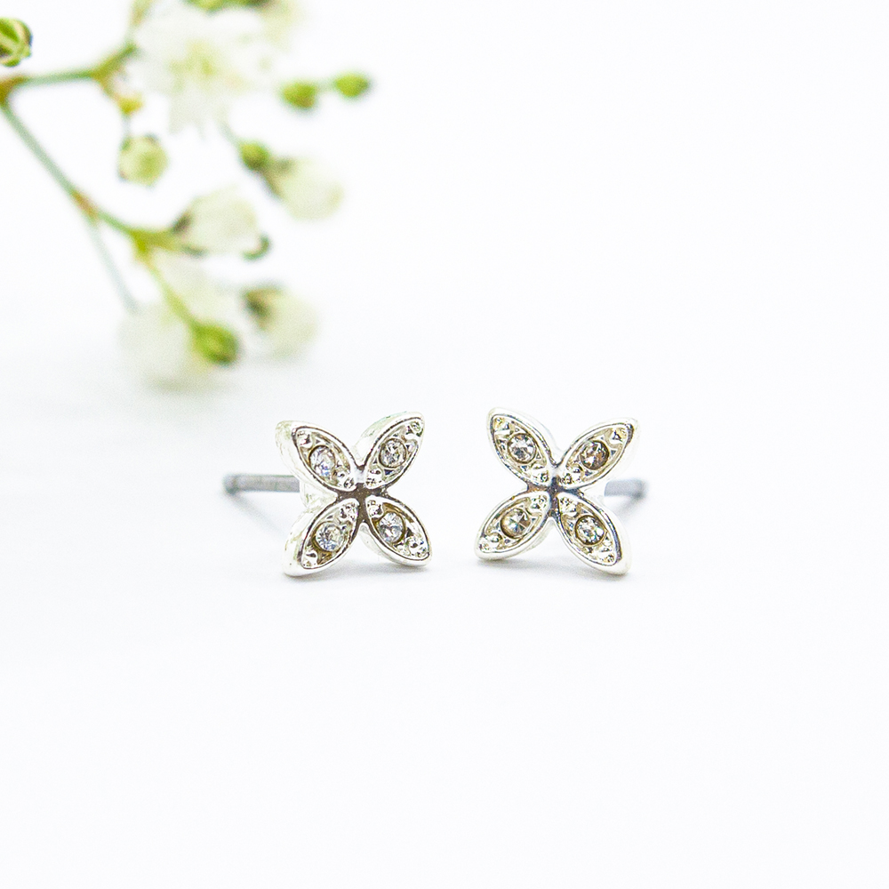 Silver Earrings