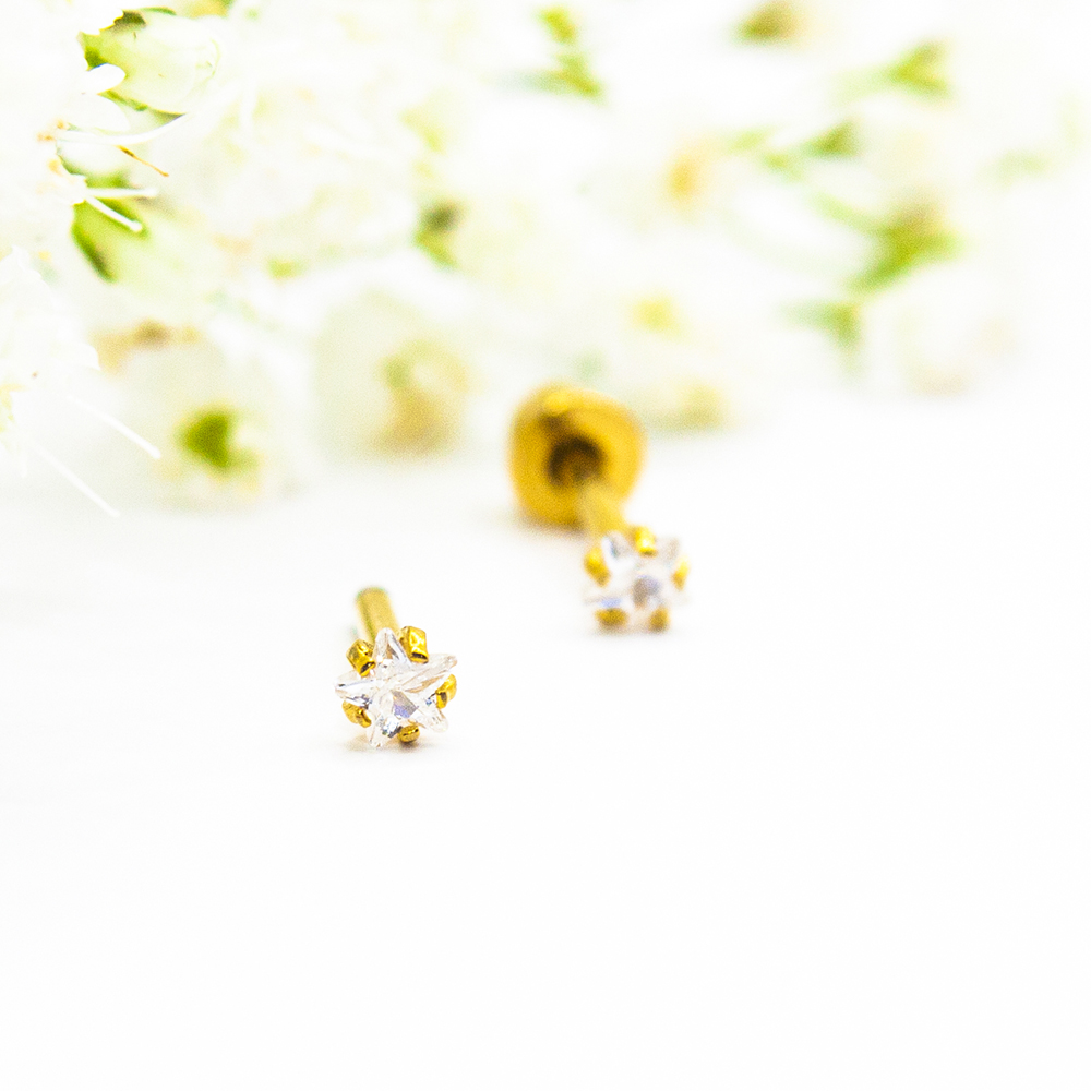 Gold Stainless Steel Star Studs - Image 4