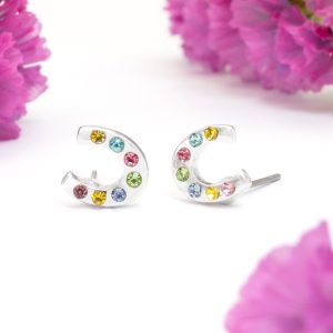 Colour Pop Crystal Horseshoe Stud Earrings