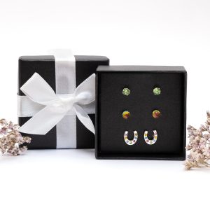 Pastel Charm Horseshoe Earring Set