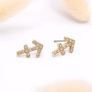 Sagittarius Zodiac Crystal Gold Stud Earrings